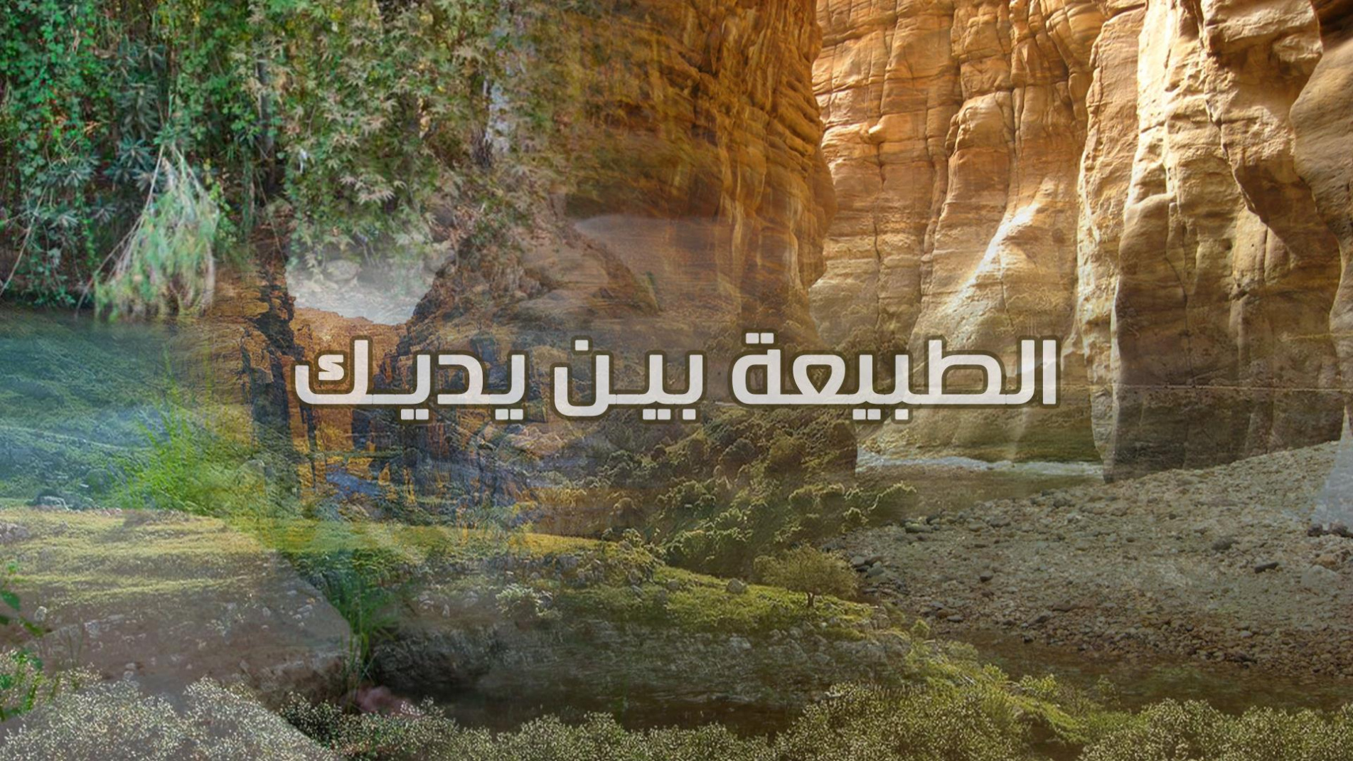 الطبيعة بين يديك‎